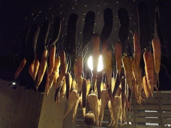suspension 