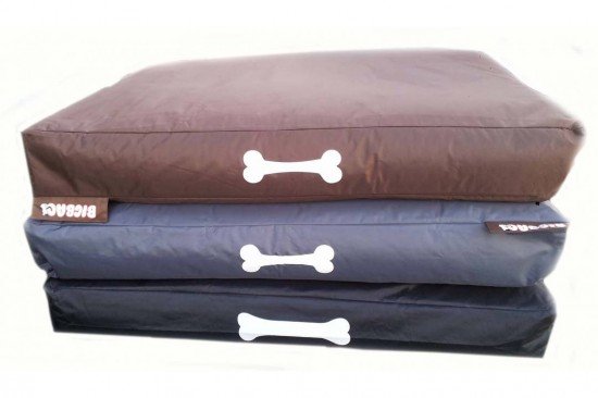 BigBao pour les animaux