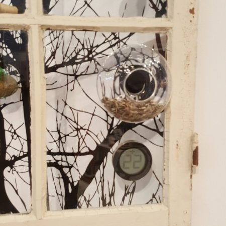Eva solo mangeoir à oiseau fenetre