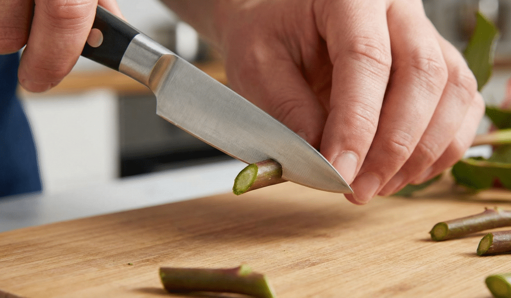 la coupe en biais des fleurs