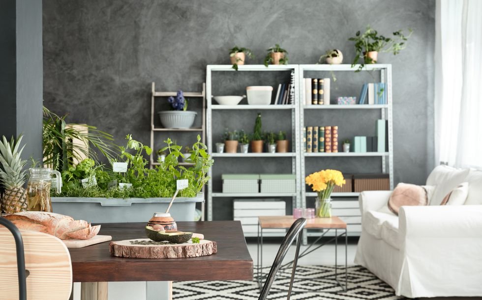 tendances du design d'intérieur qui boosteront votre humeur tendances du design d'intérieur qui boosteront votre humeur