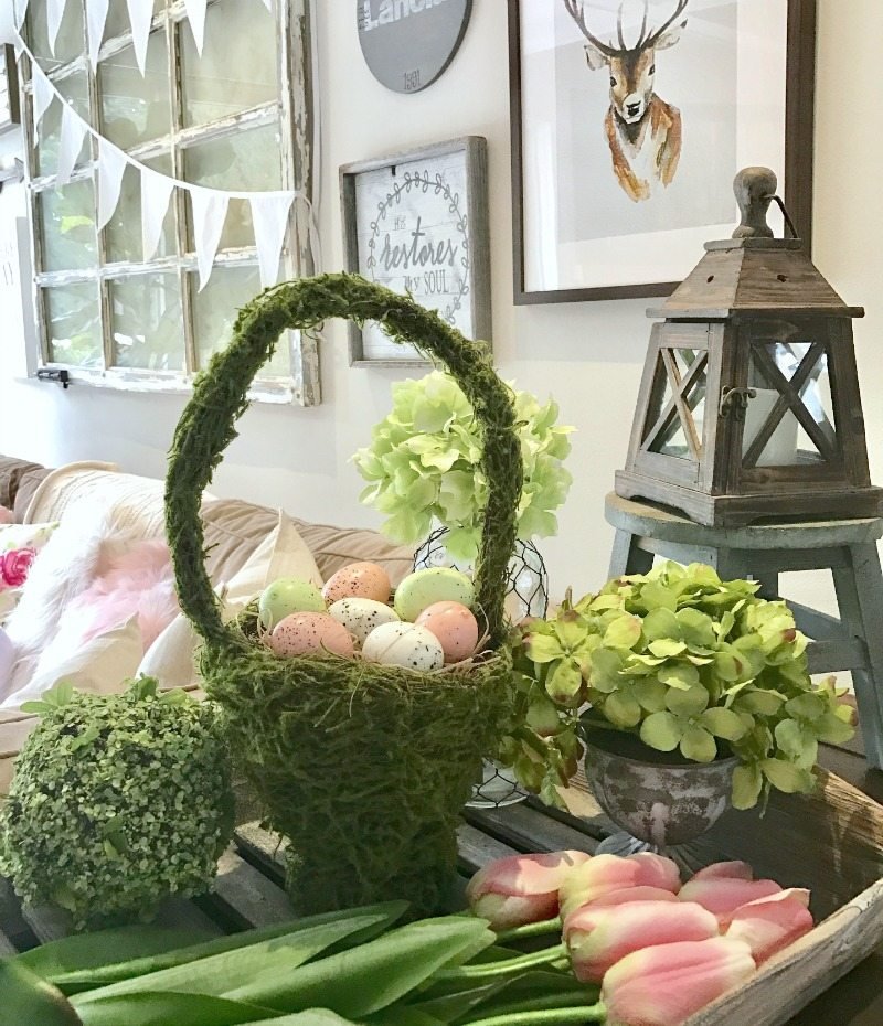 Créez un jardin d’intérieur