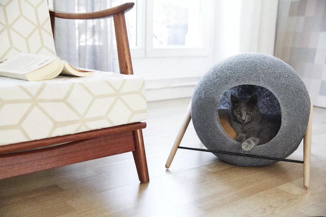 Tuft & Paw redonne ses lettres de noblesse au meuble pour chat