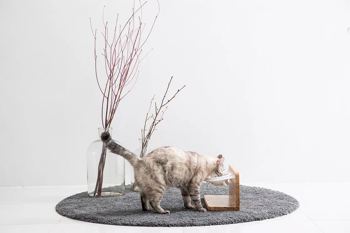 Tuft & Paw redonne ses lettres de noblesse au mobilier pour les chats