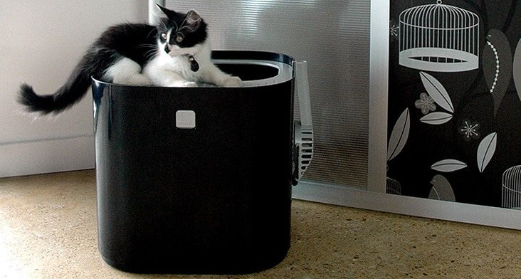 Tuft & Paw redonne ses lettres de noblesse au mobilier pour les chats