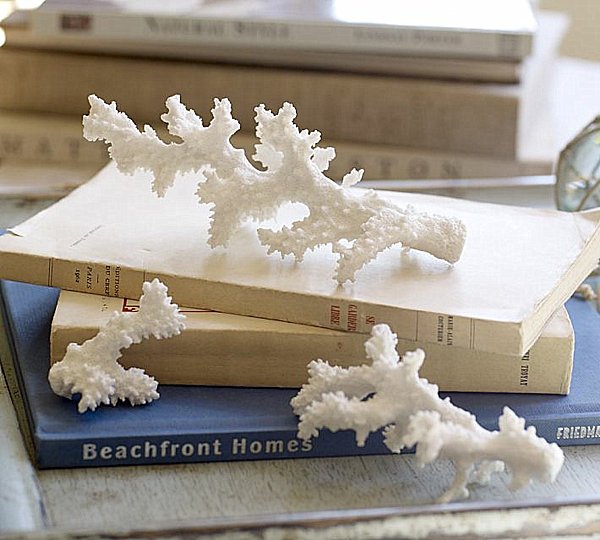 Décorer son cabinet de curiosités 2