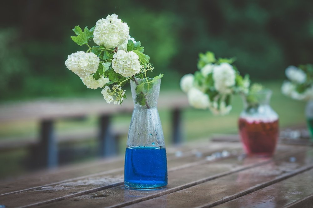 8 façons merveilleuses de décorer votre maison avec des fleurs 6