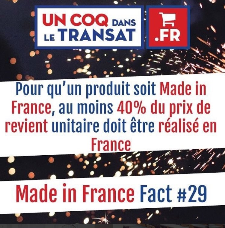 Un coq dans le transat 1