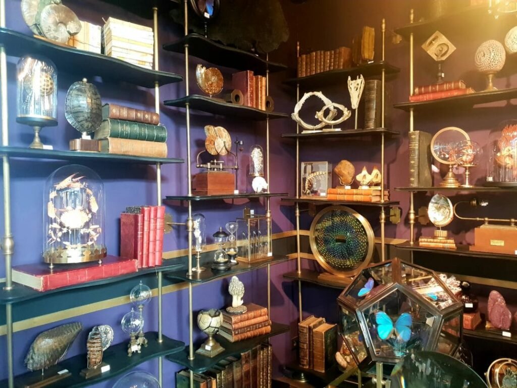 Maison et Objet Janvier 2019 - Objets de curiosité