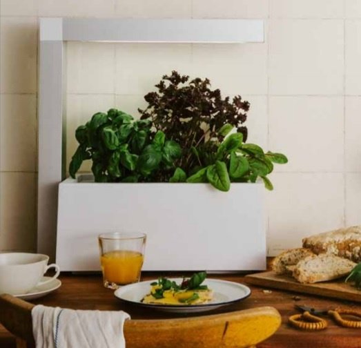 Avis Potagers Tregren - Test des potagers d'intérieur intelligents Genie