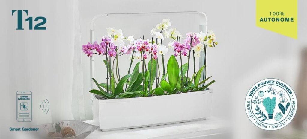 Avis Potagers Tregren - Test des potagers d'intérieur intelligents