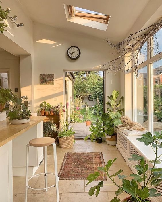 Les fausses plantes sont mauvaises pour le Feng Shui.