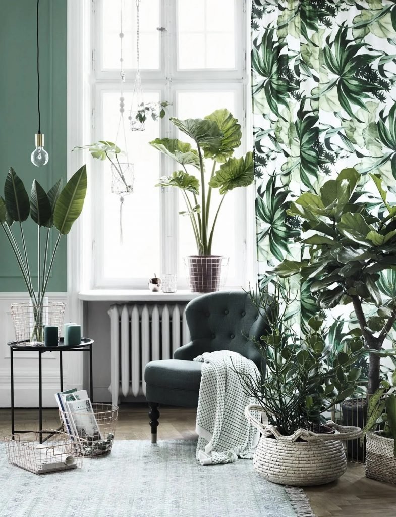 Pour aménager de petits espaces, déplacez vos plantes Pour aménager de petits espaces, déplacez vos plantes