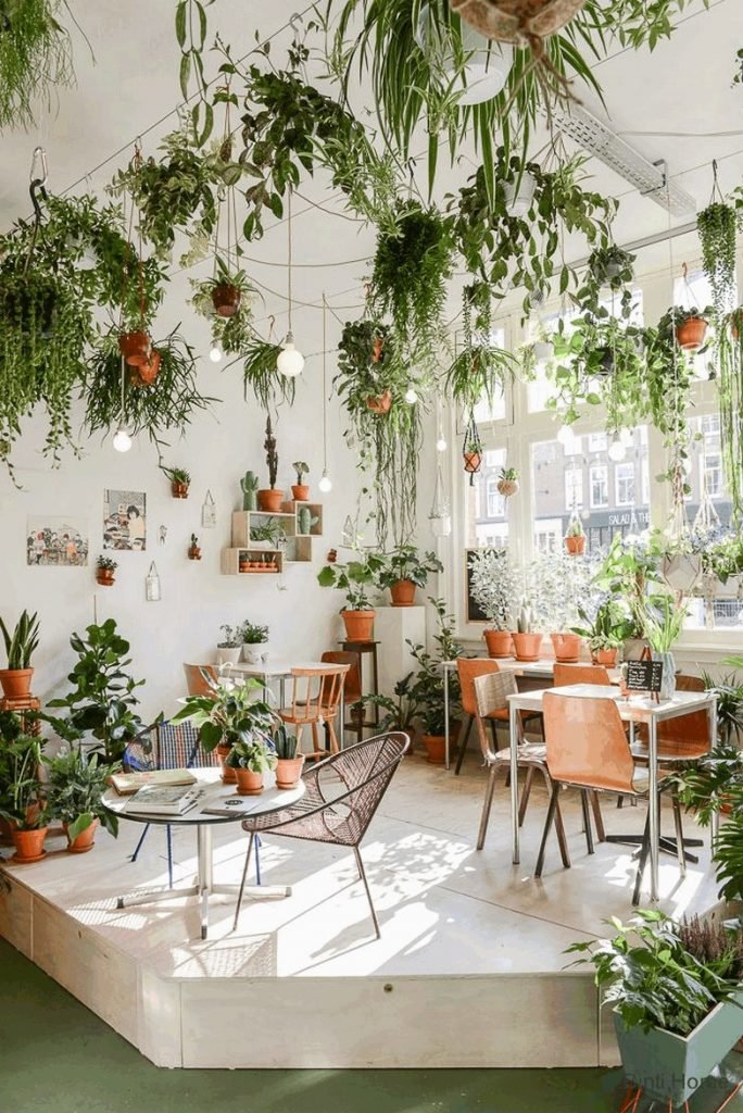 7 plantes dépolluantes qui aident à la purification de l'air pour assainir votre maison