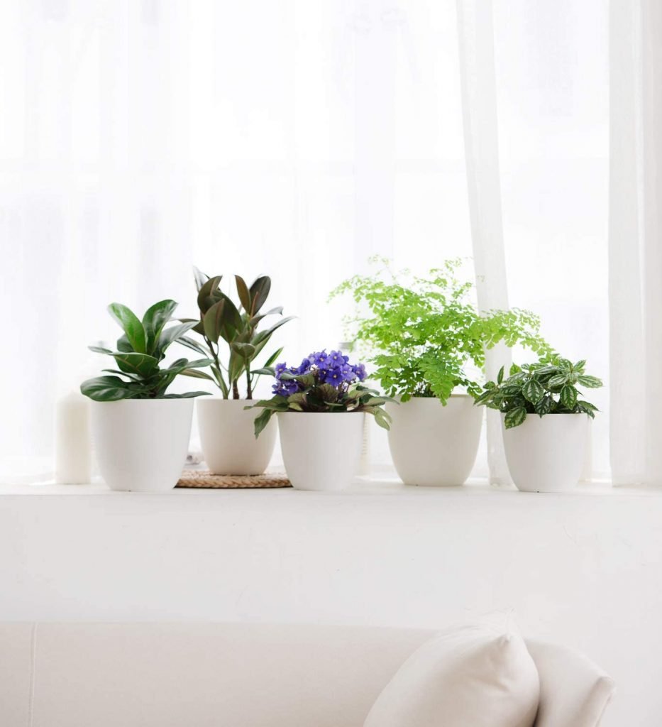 Plantez un jardin