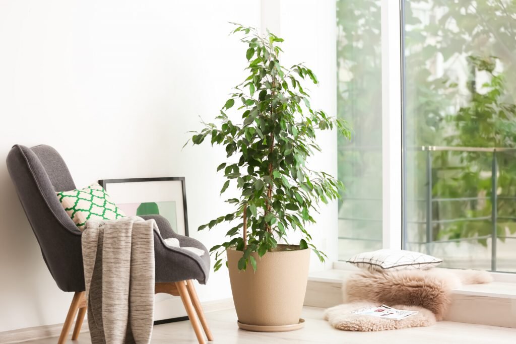 Les accessoires du style moderne urbain