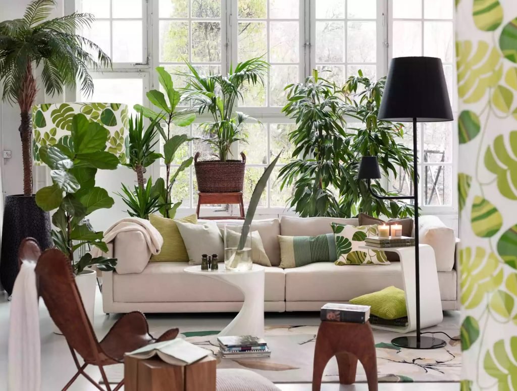 plantes Feng Shui