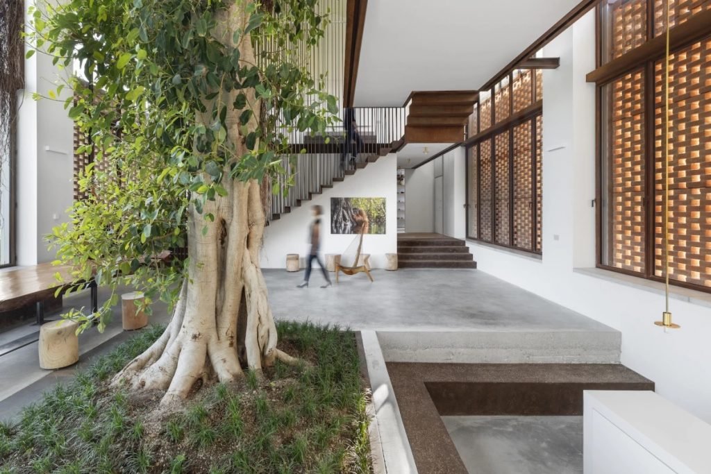 Cette magnifique ferme italienne a été construite autour d'un arbre de 60 ans Cette magnifique ferme italienne a été construite autour d'un arbre de 60 ans