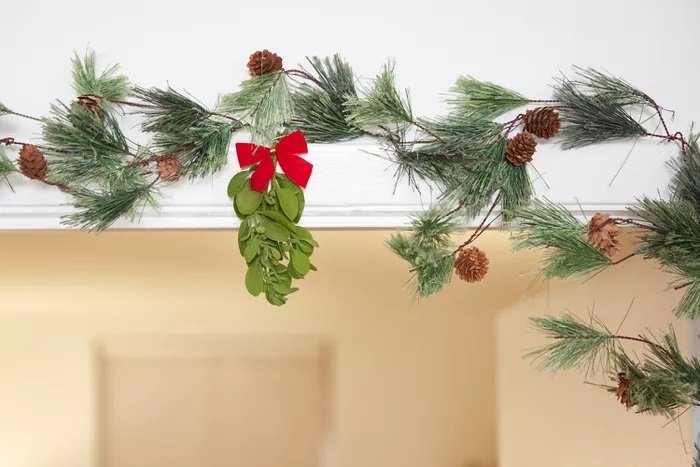 Pourquoi met-on du gui dans les maisons à Noël
