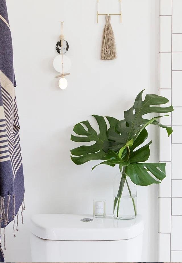 Utilisez des plantes pour la décoration des toilettes