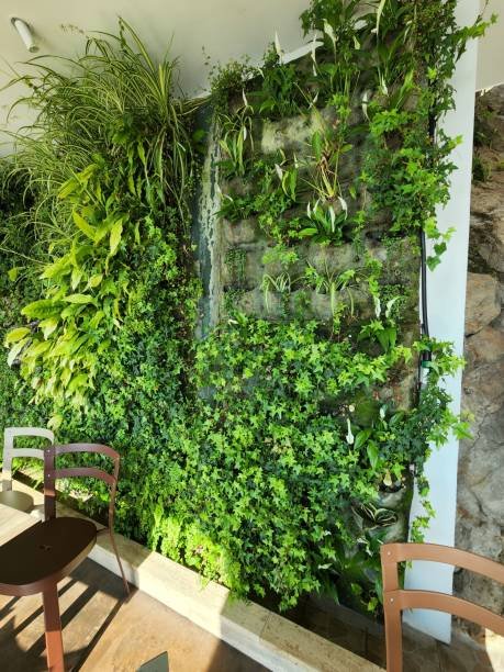 Recherchez l'inspiration pour faire votre mur végétalisé à la maison