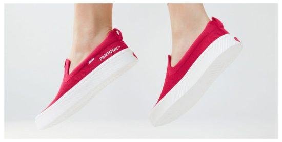 couleur de l'année 2023 pantone