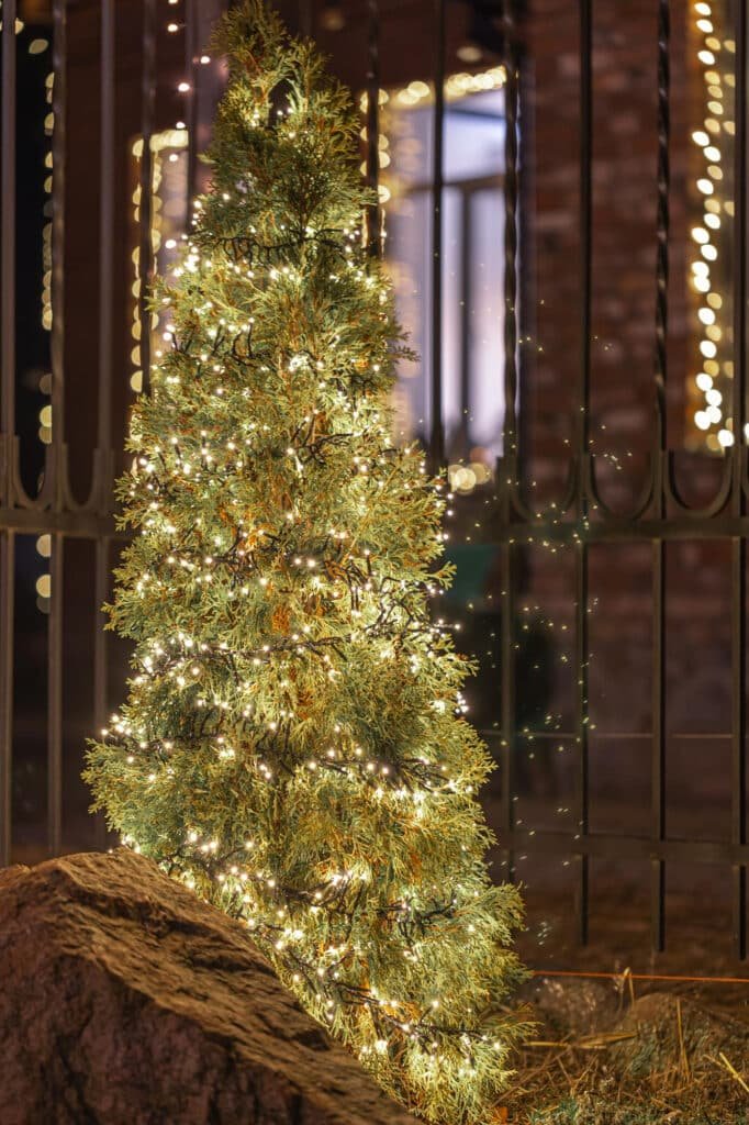 sapins aérée décorés avec quelques très belles pièces en verre, une guirlande lumineuse fil de cuivre quasi invisible sapins aérée décorés avec quelques très belles pièces en verre, une guirlande lumineuse fil de cuivre quasi invisible