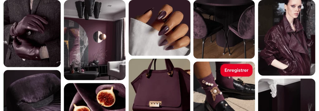 Plum Noir Cassis Couleur 2026 Pinterest Palette 